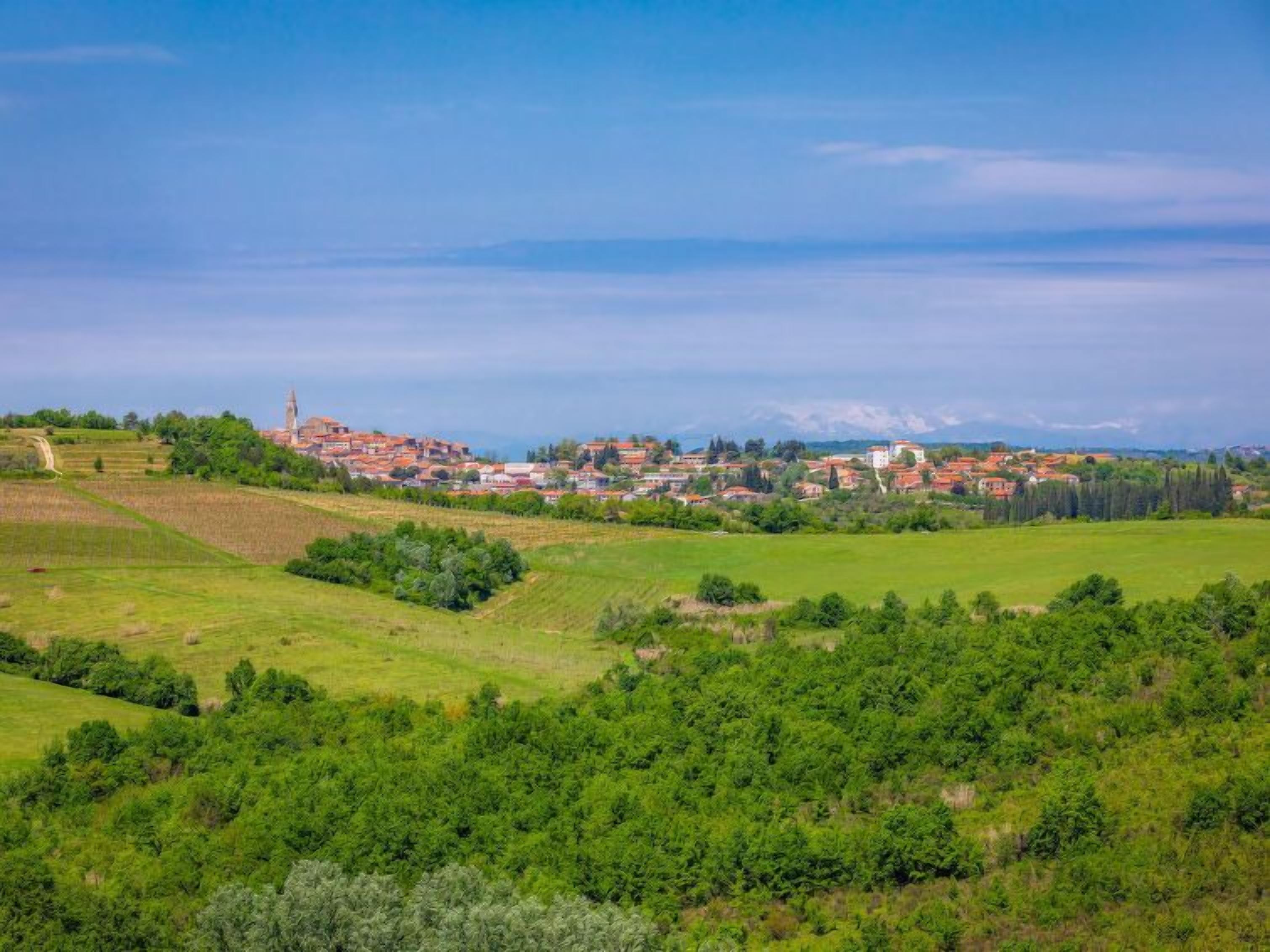 A rural landscape with a village, green fields, and a distant mountain range.