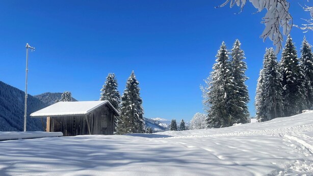 A snow-covered landscape with a wooden cabin and snow-laden trees.