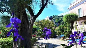 Un jardín con flores moradas y un árbol, rodeado de edificios.