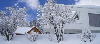Willmann by Interhome