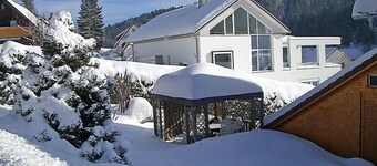 Willmann by Interhome