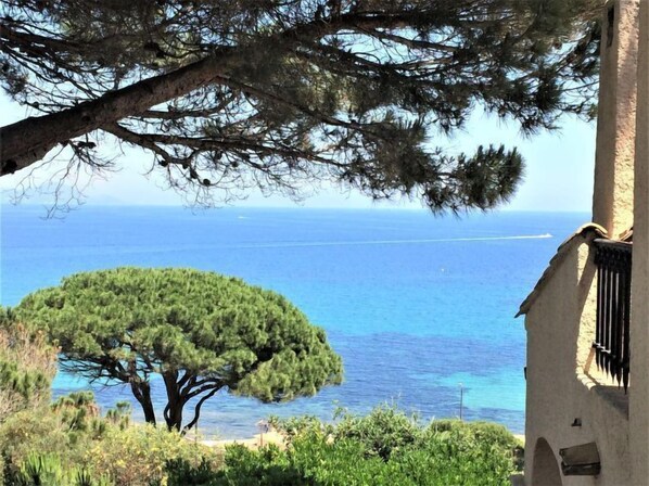 Une vue sur la côte, avec un arbre et un bâtiment aux fenêtres grillagées.
