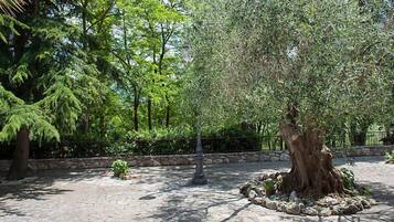 Parco della struttura