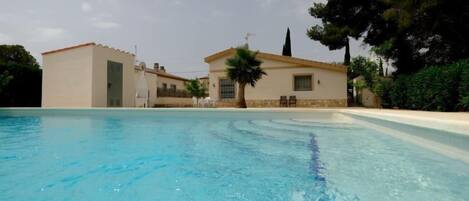 A swimming pool with a clear blue water surface, surrounded by a building with a tiled roof and a palm tree.