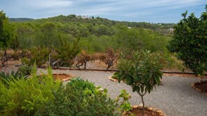 Un jardín arbolado con arbustos diversos, un camino de grava y una vista de una colina con edificios al fondo.