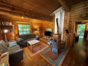 Fernseher, Kamin