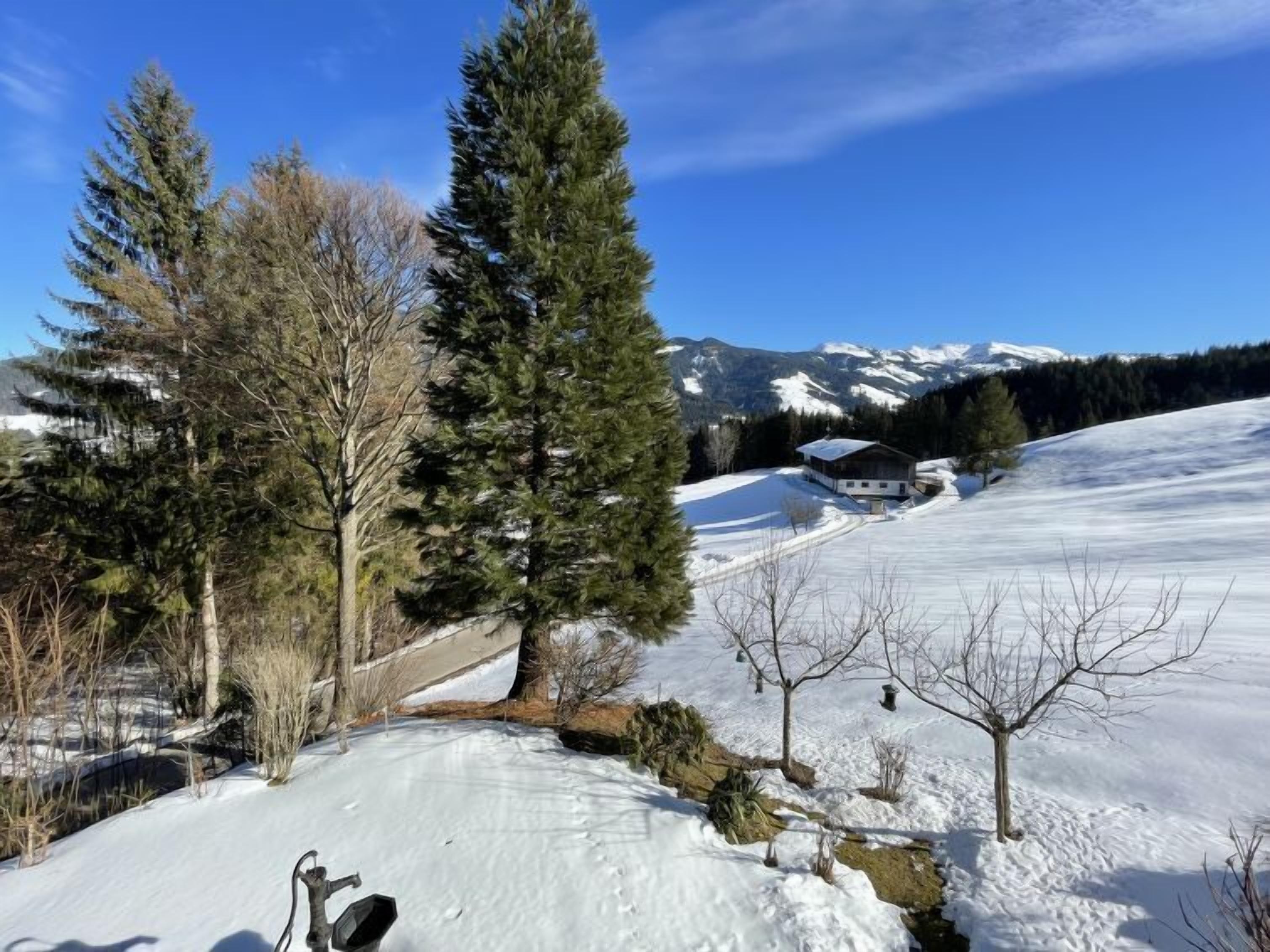 A snow-covered landscape with a wooden cabin and a mountain backdrop.
