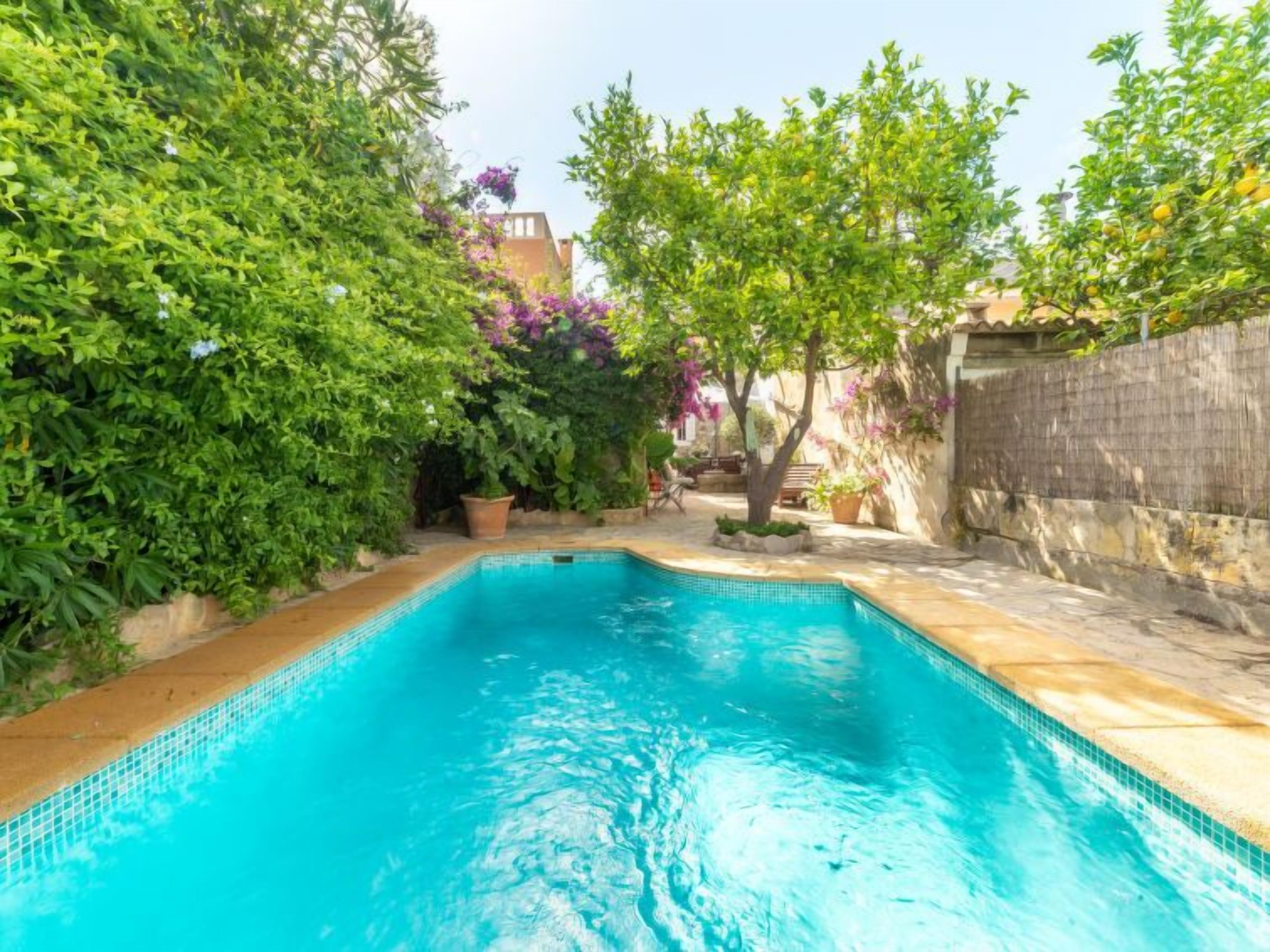 Ein rechteckiger Swimmingpool mit klarem, blauem Wasser, umgeben von üppigem Grün und einem Holenzaun.
