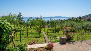 A vineyard with a view of the sea and a town in the distance. - Apartment Marija by Interhome (Lovran)