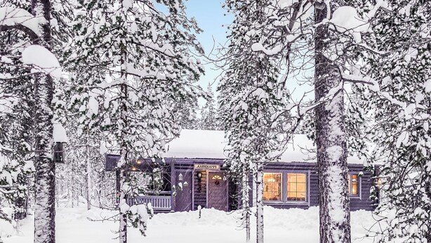 Una cabaña rodeada de árboles cubiertos de nieve.