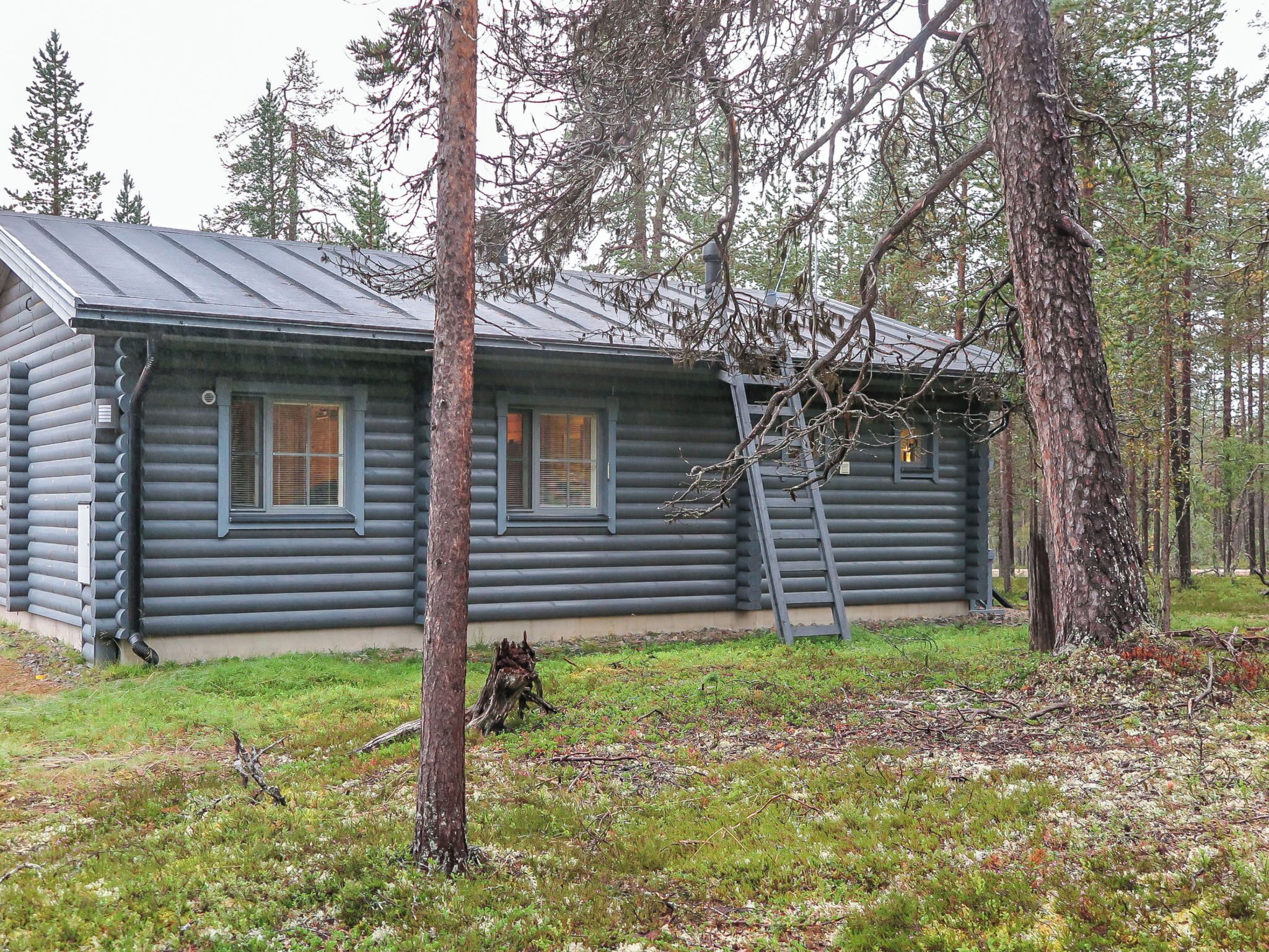 A log cabin with a metal roof, surrounded by trees and a grassy area.