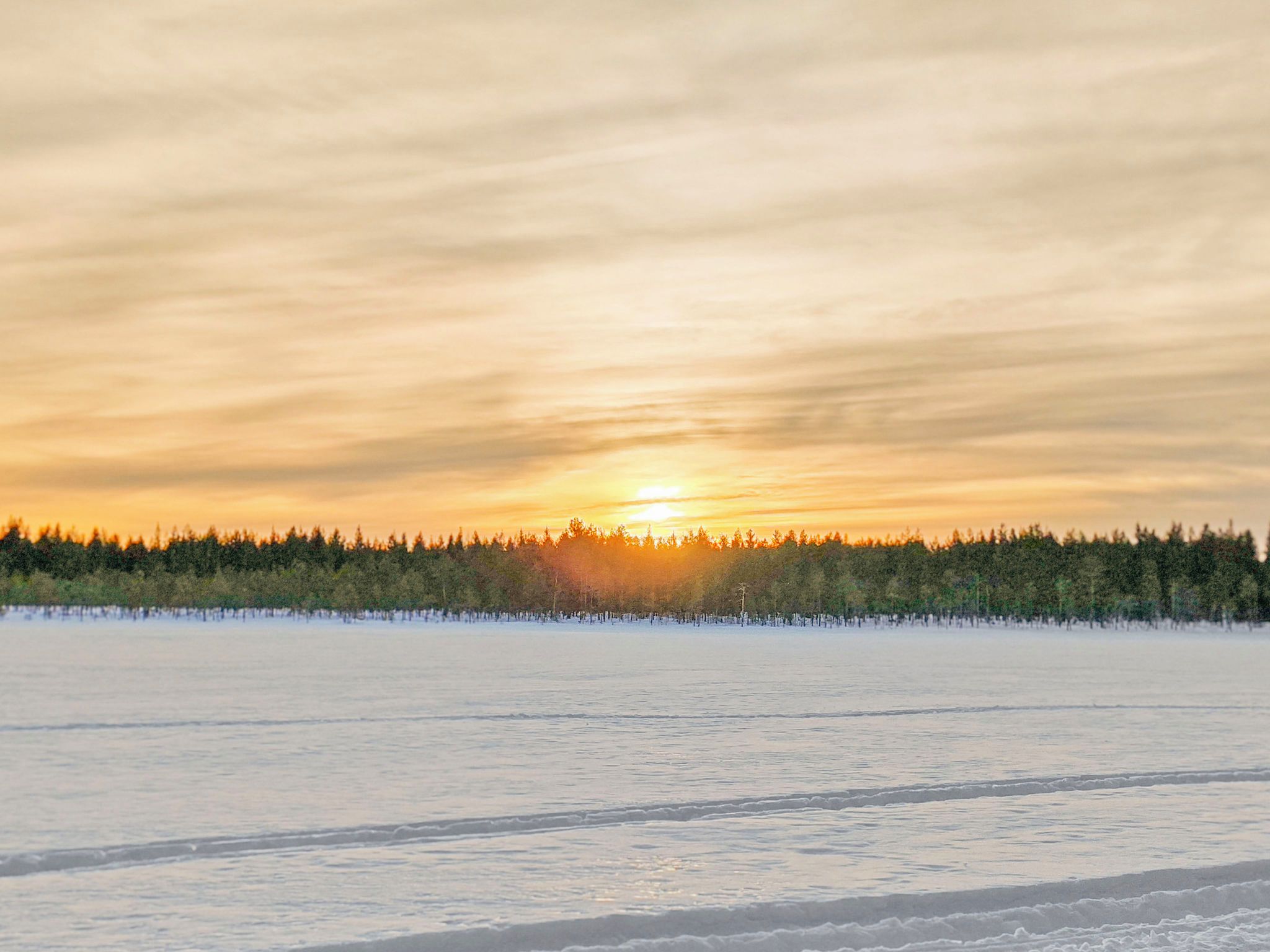 A frozen landscape with a forest in the background and a clear sky.