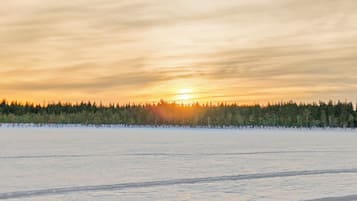 Un paysage hivernal, avec une forêt en arrière-plan et un ciel dégagé.