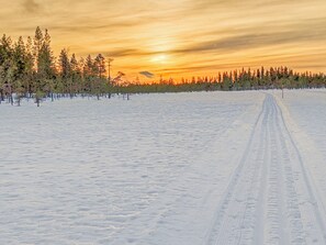 Uklassifisert bilde, 4 av 32, knapp