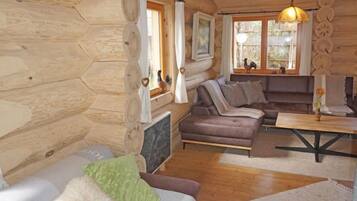 Fernseher, Kamin, DVD-Player