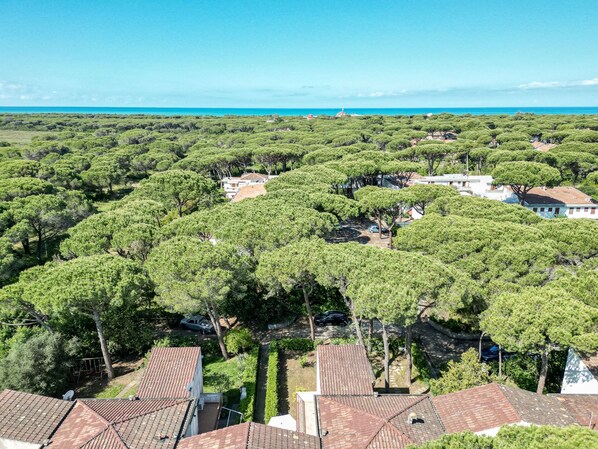 Un barrio residencial con casas rodeadas de árboles verdes frondosos.
