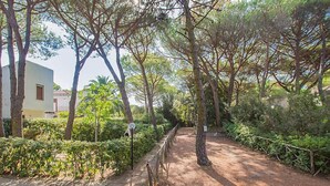 A pathway lined with trees and shrubs, leading to a building with a white facade and a red window. - Casa Polipo by Interhome (Grosseto)