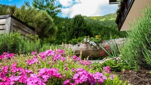 A garden with pink flowers, a wooden fence, and a building with a balcony.