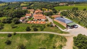 Vista aérea de una finca rural con varias construcciones, incluyendo una casa grande con paneles solares, rodeada de vegetación exuberante y viñedos.