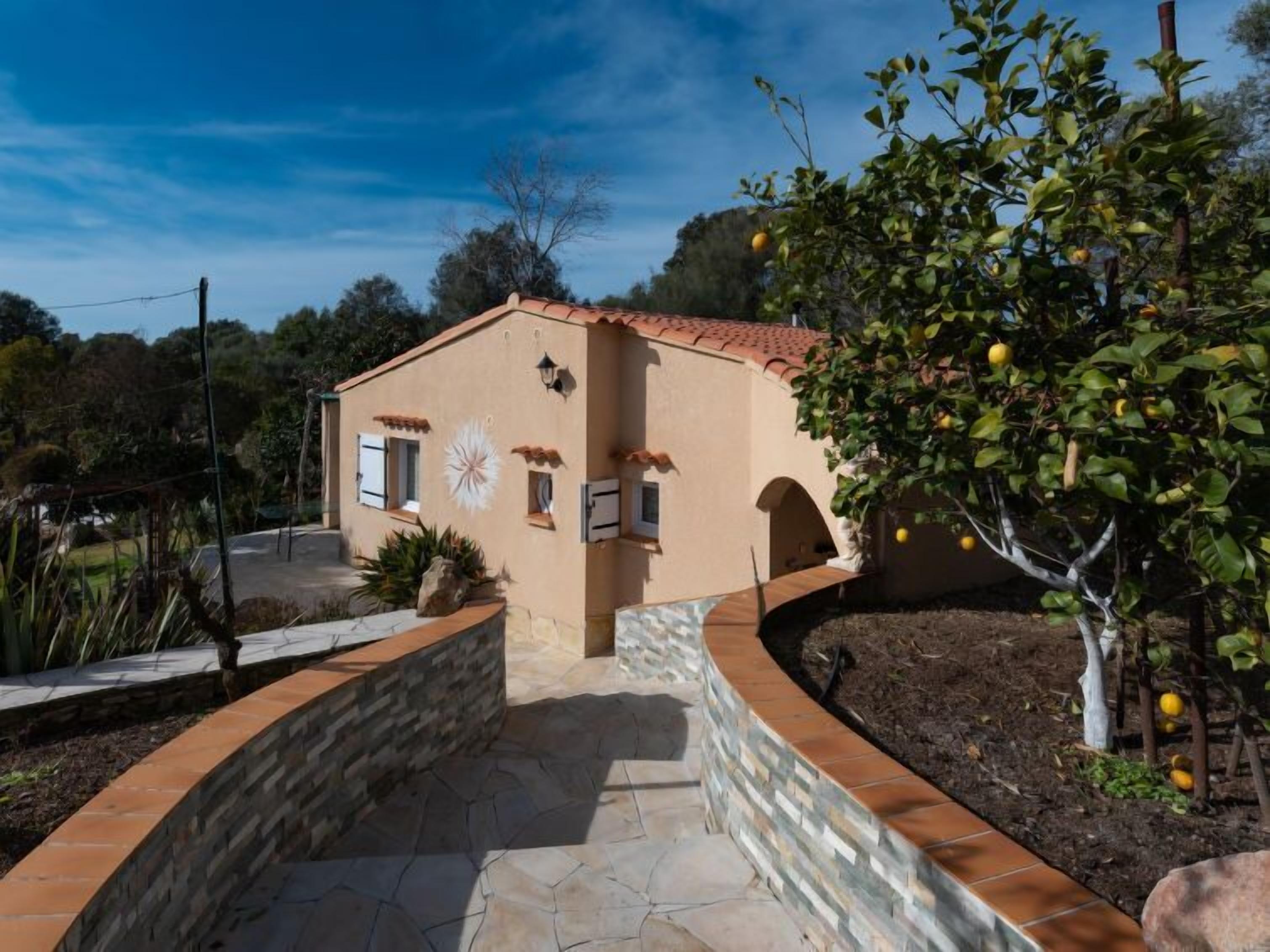 A house with a stone pathway leading to the entrance, a small garden with a tree bearing fruit, and a clear blue sky.