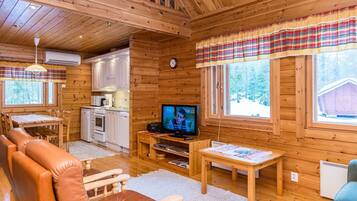 Fernseher