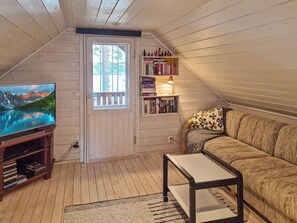 Televisio, DVD-soitin