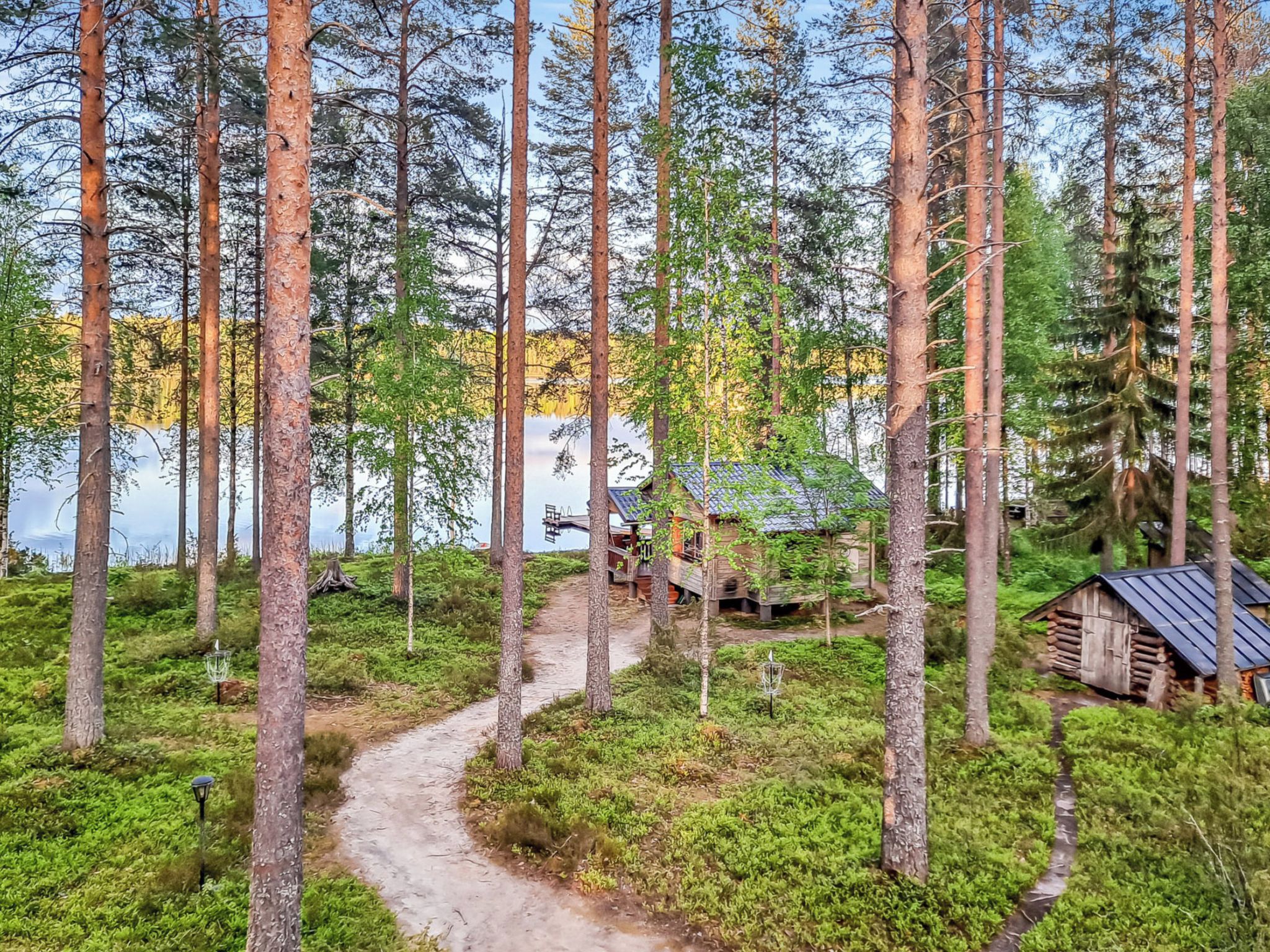 Une zone boisée avec un sentier de terre menant à un chalet situé au bord d’un lac.