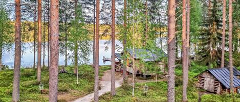 A forested area with a dirt path leading to a cabin by a lake.