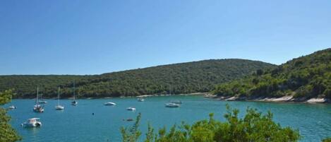 A coastal area with boats docked along the shore, surrounded by lush green hills.