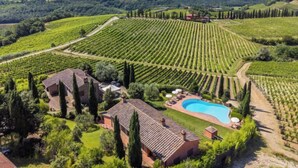 A vineyard with rows of grapevines, a swimming pool, and a villa with a tiled roof. - Casa Mori by Interhome (Certaldo)