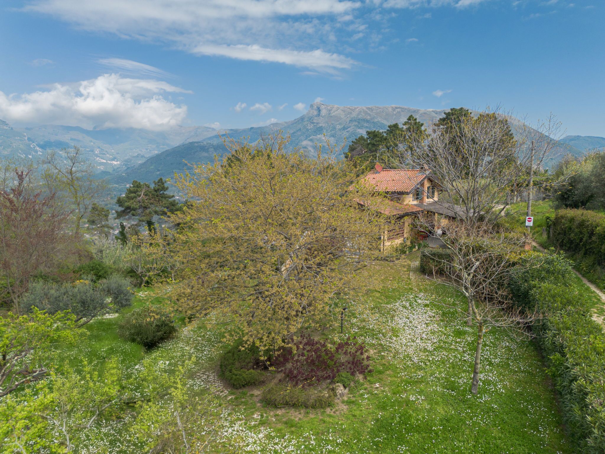Una casa con tetto in tegole rosse, circondata da rigogliosa vegetazione e con una montagna sullo sfondo.