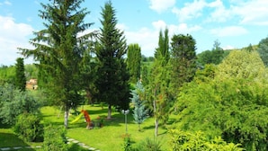 A lush garden with various trees and shrubs, a stone pathway, and a small red structure. - Il Gelsomino by Interhome (Montaione)