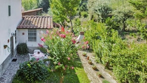 A white building with a tiled roof, a stone-paved courtyard, and a garden with various plants and flowers. - Il Gelsomino by Interhome (Montaione)