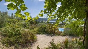 Een tuin met een grindpad, diverse planten en een zwembad op de achtergrond.