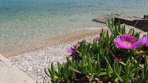 A coastal view with clear water, pebbly beach, and purple flowers in the foreground. - Apartment Zdenko by Interhome (Ugljan/Kali)