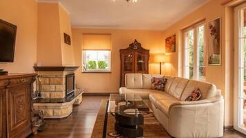 Télévision, cheminée, lecteur de DVD