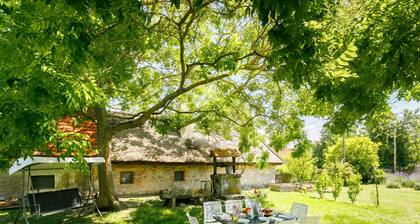 Golf Tee by Interhome