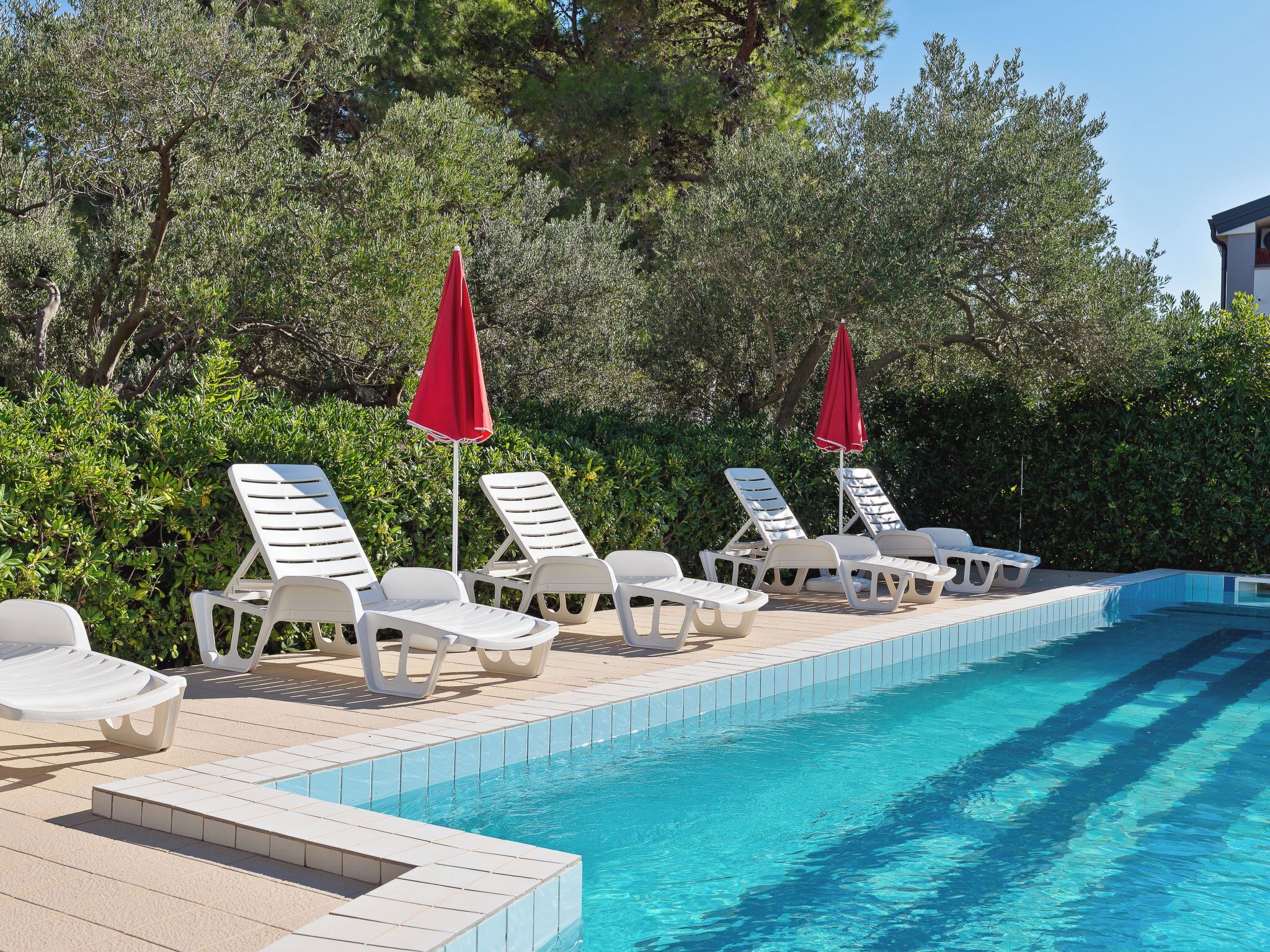 Un espace aménagé au bord de la piscine, avec des chaises longues blanches et des parasols rouges, le tout entouré d’une végétation luxuriante.