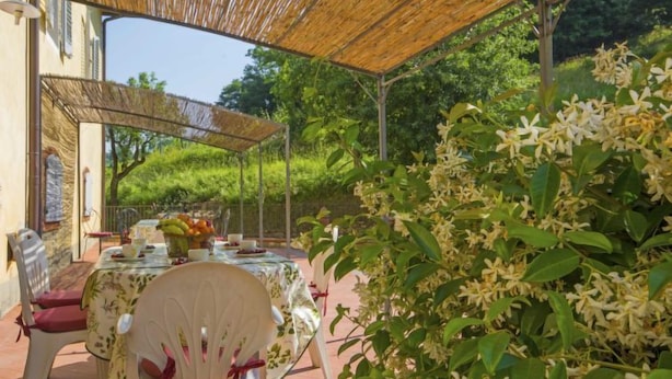 Une terrasse extérieure avec une table dressée pour le repas, entourée de chaises et recouverte d’une tonnelle en bambou.