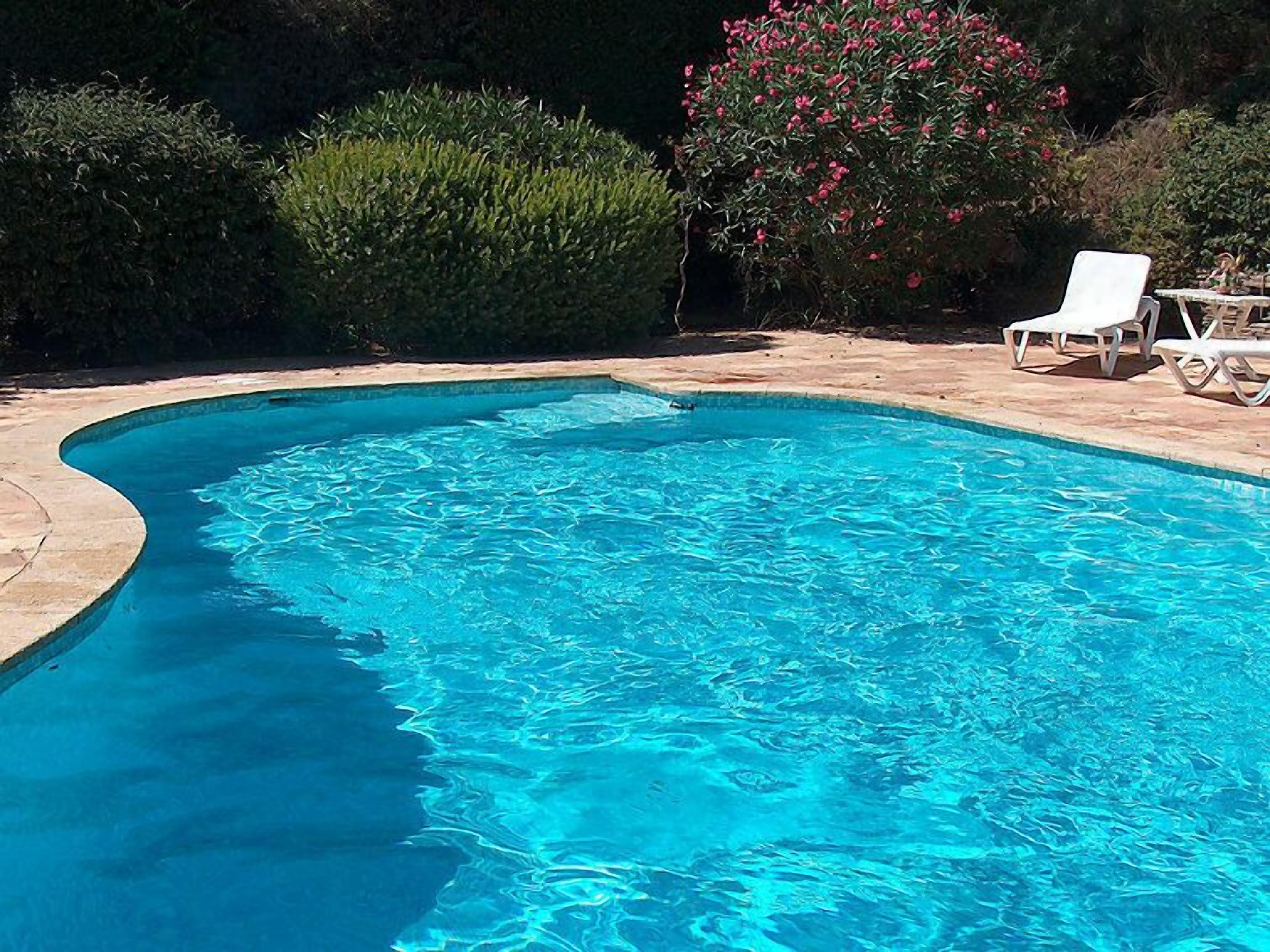 Piscina azul cristalina com borda curva, rodeada por um terraço com espreguiçadeiras brancas e uma mesa pequena.
