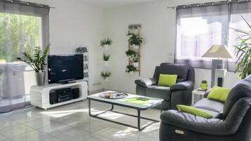 Televisio, DVD-soitin