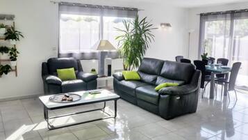 Televisio, DVD-soitin