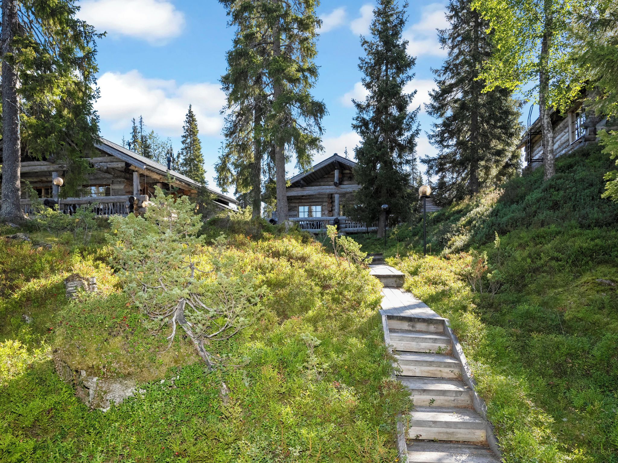Puinen portaikko, joka johtaa hirsihirrestä rakennettuun mökkiin, ja mökkiä ympäröi tiheä metsä.