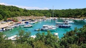 A marina with multiple boats docked, surrounded by lush greenery and a clear blue sky.