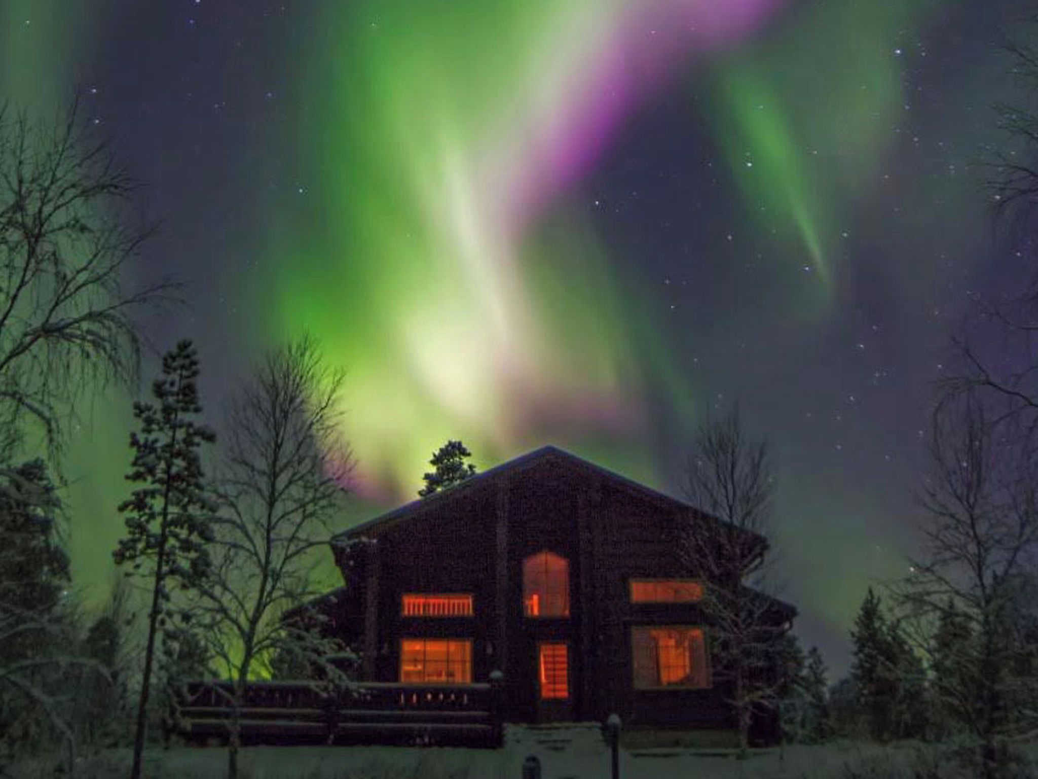 Une cabane dotée d’une fenêtre et d’une porte bien visibles, entourée d’arbres.