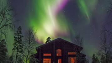 Une cabane dotée d’une fenêtre et d’une porte bien visibles, entourée d’arbres.