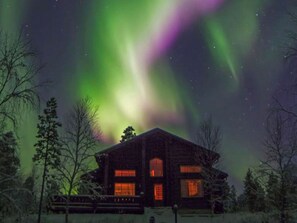 A cabin with a visible window and a door, surrounded by trees.