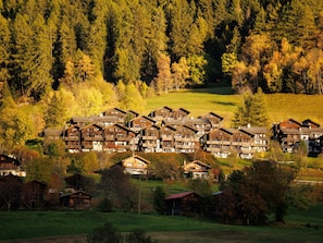 Esterni