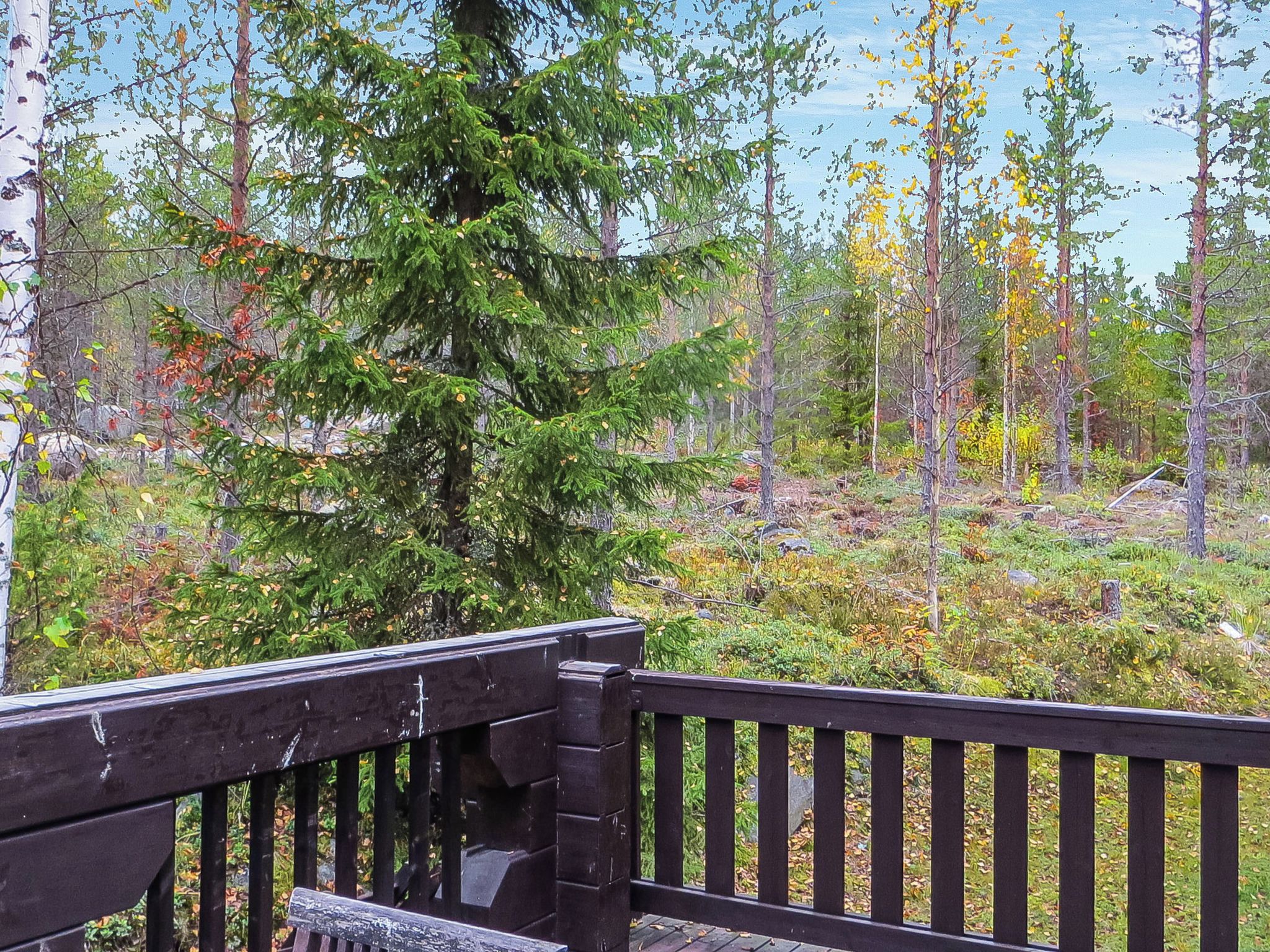 Puinen terassi, jolta avautuu näkymä metsäiselle alueelle.
