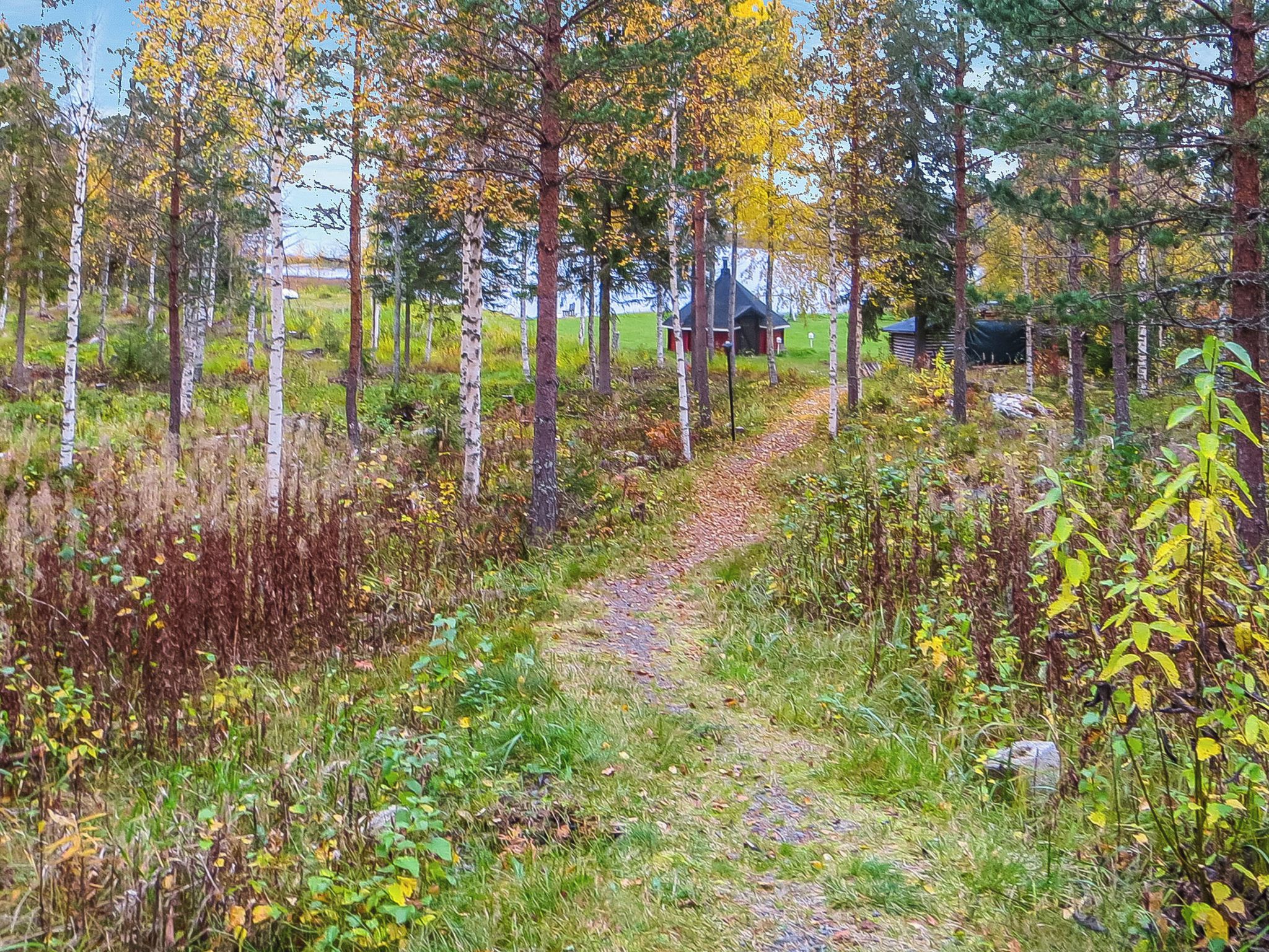 A forested area with a dirt path leading to a small building.
